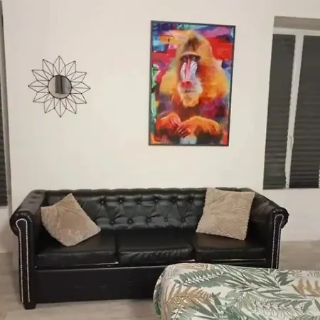 Appartement Rdc 2 Voyageurs Rue Pietonne Netflix