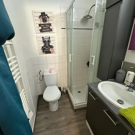 Rdc 2 Voyageurs Rue Pietonne Netflix Appartement Saintes