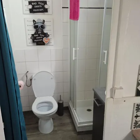 Rdc 2 Voyageurs Rue Pietonne Netflix Appartement *